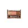 CEZANNE - Nose & Eyebrow Powder - 3g - 06 Pink Brown