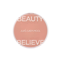 JUNGSAEMMOOL - Artist Cushion Blush - 4g - Ruddy Beige