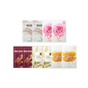 The Saem - Natural Mask Sheet Buffet Set A