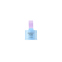 The Saem - Saemmul Perfect Pore Tiny Pact - 4.5g