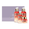 the SKIN HOUSE - Radiance Firming Set - 1set (4pcs)