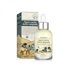 TREEANNSEA - Agave Cactus Desert Ampoule - 50ml