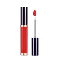 VDIVOV - Lip Cut Shine Gloss - 5g - No.Filter Red RD301