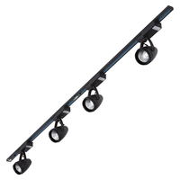 Biard Spot LED 12W sur rail 2 x 1m Noir - Pack de 4