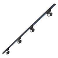 Biard Spot LED 7W sur rail 2 x 1m Noir - Pack de 4