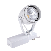 Biard Spot LED Blanc 12W pour rail