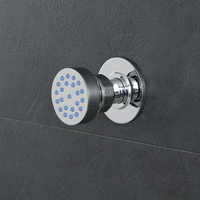 Buse Hydromassante Massage Ronde Laiton Massif Chromé Design Moderne