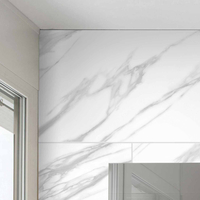 Carrelage composite mural – 40 cm x 80 cm – Choix de finitions