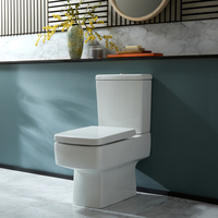 Cuvette à poser – Avec abattant à fermeture douce – Choix de finitions de la plaque de déclenchement – Sandford