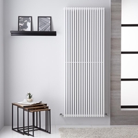 Grand Radiateur Décoratif - Design Blanc Mural - 180 x 70cm - 1500W - Hudson Reed