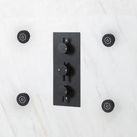 Lot de 4 Buses Massantes - Laiton - Noir - Jet Corps - Hudson Reed