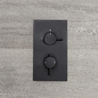 Mitigeur thermostatique encastrable noir - Nox - 2 fonctions