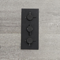 Mitigeur thermostatique encastrable noir - Nox - 3 fonctions