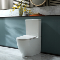 Pack WC à poser – Avec abattant à fermeture douce – Choix de finitions du bouton de chasse d