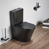 Pack WC rond à poser - Abattant à fermeture douce - Design moderne - Graphite - Elements - Hudson Reed