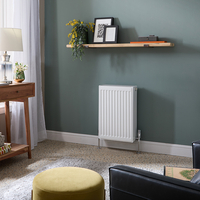 Petit Radiateur - 60 x 40 cm - Convecteur Type 33 - Eau Chaude - Acier - Hudson Reed Moderne