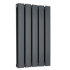 Petit radiateur design mural - Chauffage WC Double Étroit - Eau Chaude - 59, 5 x 35 cm - Anthracite - Hudson Reed