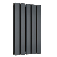 Petit radiateur design mural - Chauffage WC Double Étroit - Eau Chaude - 59, 5 x 35 cm - Anthracite - Hudson Reed