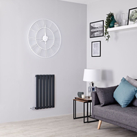 Petit Radiateur Électrique Mural - Chauffage Compact - Acier Gris - Hudson Reed