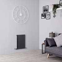 Petit radiateur mural - 60 x 41 cm - WC - 500W - Panneau simple - Gris anthracite - Eau - Vitality