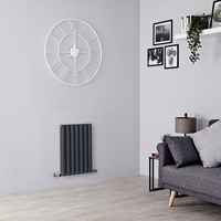 Petit radiateur mural - 60 x 41 cm - WC - 500W - Double rang - Gris anthracite - Eau - Vitality