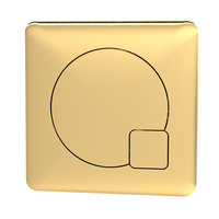 Plaque de déclenchement double carrée à bouton poussoir – Laiton brossé – Hudson Reed