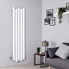 Radiateur aluminium design vertical – Blanc – 160 cm x 39 cm - Laeto