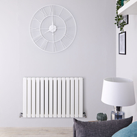 Radiateur design horizontal – Blanc – 63, 5 cm x 98 cm – Double rangs - Delta