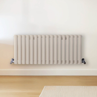 Radiateur design horizontal – Blanc (Pearl White) – 40 cm x 100 cm – Rang double – Vitality