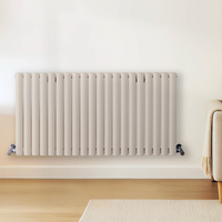 Radiateur design horizontal – Blanc (Pearl White) – 40 cm x 118 cm – Rang double – Vitality