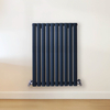 Radiateur design horizontal – Bleu (Regal Blue) – 80 cm x 59 cm – Rang double – Vitality