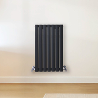 Radiateur design horizontal – Gris (Carbon Grey) – 63, 5 cm x 41, 3 cm – Rang double – Vitality