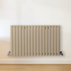 Radiateur design horizontal – Marron (Elk Brown) – 60 cm x 100 cm – Rang double – Vitality