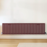 Radiateur design horizontal – Rouge (Booth Red) – 40 cm x 164, 7 cm – Rang double – Vitality