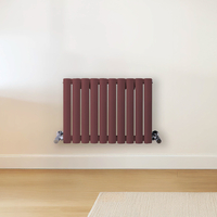 Radiateur design horizontal – Rouge (Booth Red) – 40 cm x 59 cm – Rang double – Vitality
