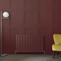 Radiateur design horizontal – Rouge (Booth Red) – 63, 5 cm x 100 cm – Rang double – Vitality