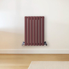 Radiateur design horizontal – Rouge (Booth Red) – 60 cm x 41, 3 cm – Rang double – Vitality