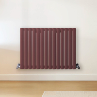Radiateur design horizontal – Rouge (Booth Red) – 60 cm x 82, 6 cm – Rang double – Vitality