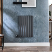 Radiateur design électrique horizontal – Anthracite – 63, 5 cm x 41, 3 cm - Double rang - Avec thermostat intégré - Sur prise - Vitality – ECOSO par Hudson Reed