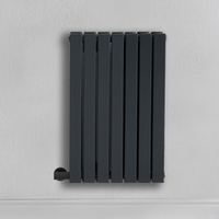 Radiateur design électrique horizontal – Anthracite – 63, 5 cm x 41, 3 cm – Double rang – Avec thermostat externe – Câblé avec cache câble – Sloane – ECOSO par Hudson Reed