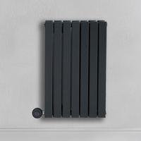 Radiateur design électrique horizontal – Anthracite – 63, 5 cm x 41, 3 cm – Double rang – Avec thermostat intégré – Câblé – Sloane – ECOSO par Hudson Reed