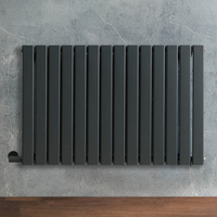 Radiateur design électrique horizontal – Anthracite – 63, 5 cm x 98 cm – Avec thermostat externe – Câblé avec cache câble – Delta – ECOSO par Hudson Reed