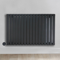 Radiateur design électrique horizontal – Anthracite – 63, 5 x 100 cm – Avec thermostat wifi intégré – Sur prise – Sloane – ECOSO x Hudson Reed