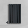Radiateur design électrique horizontal – Anthracite – 63, 5 x 41, 3 cm – 2 rangs – Avec thermostat intégré – Sur prise – Sloane – ECOSO x Hudson Reed