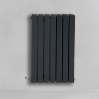 Radiateur design électrique horizontal – Anthracite – 63, 5 x 41, 3 cm – 2 rangs – Thermostat wifi externe – Câblé – Sloane – ECOSO x Hudson Reed