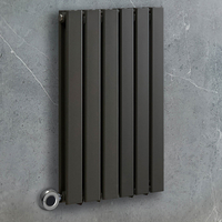 Radiateur design électrique horizontal – Anthracite – 63, 5 x 42 cm – 2 rangs – Avec thermostat connecté chromé – Câblé – Delta – ECOSO x Hudson Reed