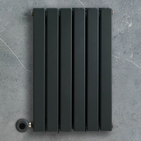 Radiateur design électrique horizontal – Anthracite – 63, 5 x 42 cm – 2 rangs – Avec thermostat wifi intégré – Câblé – Delta – ECOSO x Hudson Reed