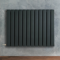 Radiateur design électrique horizontal – Anthracite – 63, 5 x 84 cm – 2 rangs – Avec thermostat wifi externe – Câblé – Delta – ECOSO x Hudson Reed