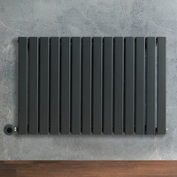 Radiateur design électrique horizontal – Anthracite – 63, 5 x 98 cm – Avec thermostat connecté – Sur prise – Delta – ECOSO x Hudson Reed