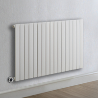 Radiateur design électrique horizontal – Blanc – 63, 5 x 100 cm – Avec thermostat connecté chromé – Câblé – Sloane – ECOSO x Hudson Reed